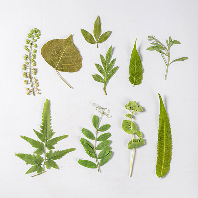 1 세트 35pcs 누르면 말린 꽃 혼합 잎 식물 표본 - Dried Flower Bookmark 리뷰 및 가격