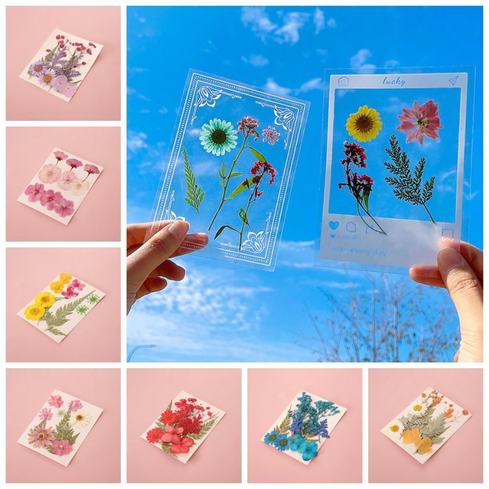 DIY 재료 DIY 드라이플라워 북마크 압화 수제 드라 - Dried Flower Bookmark 리뷰 및 가격