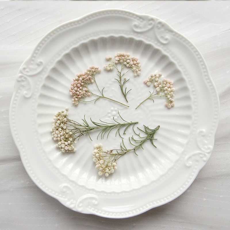 12개, 자연산 수수꽃 가지, 압화 DIY 글루 드롭  - Dried Flower Bookmark 리뷰 및 가격